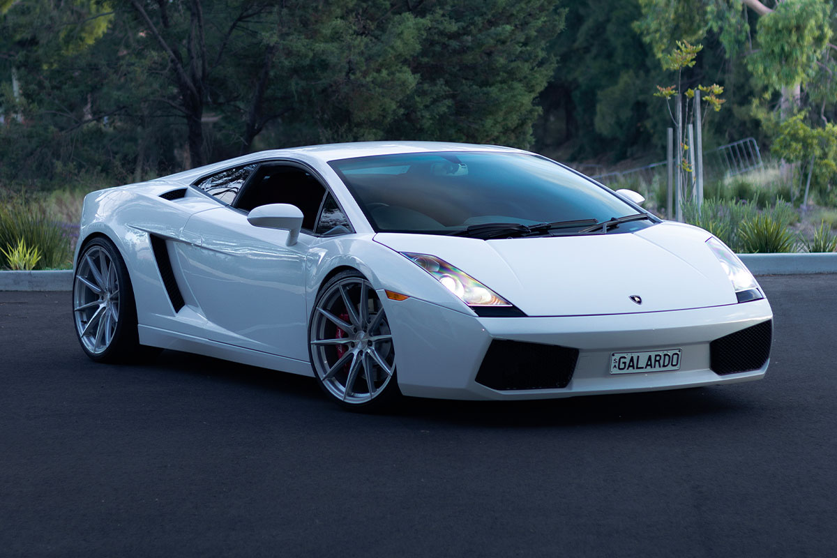 Gallardo