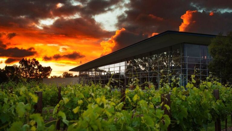 Sunset over the Barossa vines