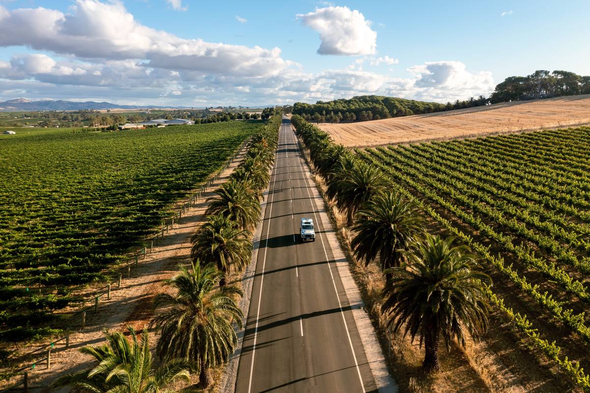 Barossa Valley vineyards