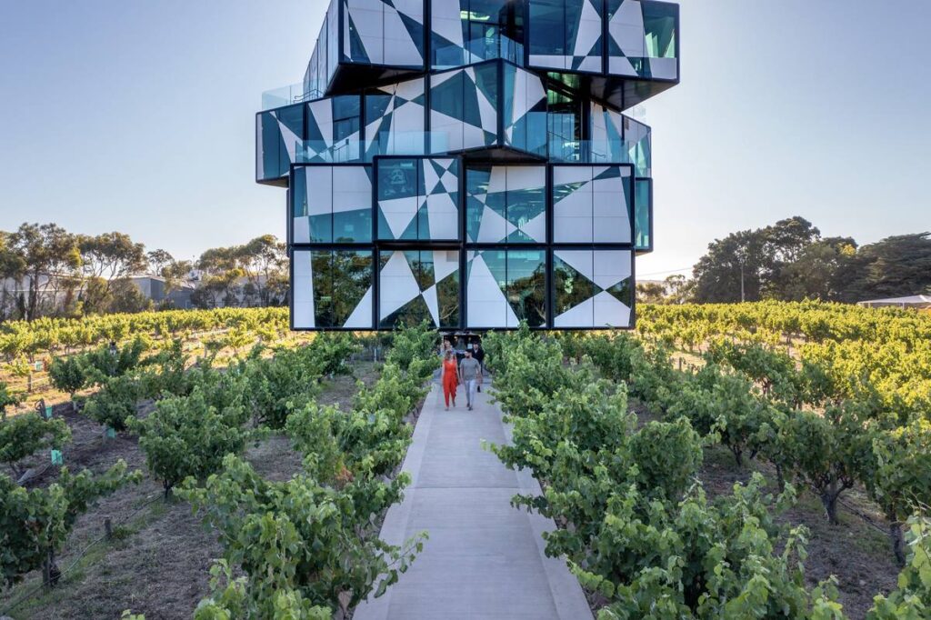 The d'Arenberg Cube among the vines, McLaren Vale